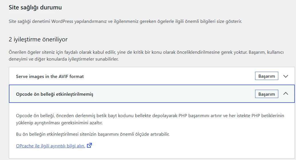 WordPress site sağlığı OOpcache kontrol ekranı