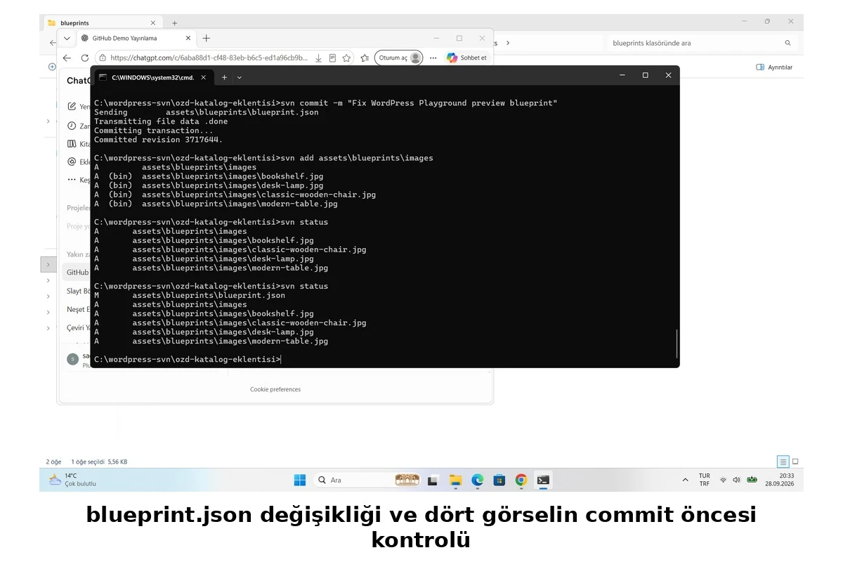 Blueprint ve görsellerin SVN durumu
