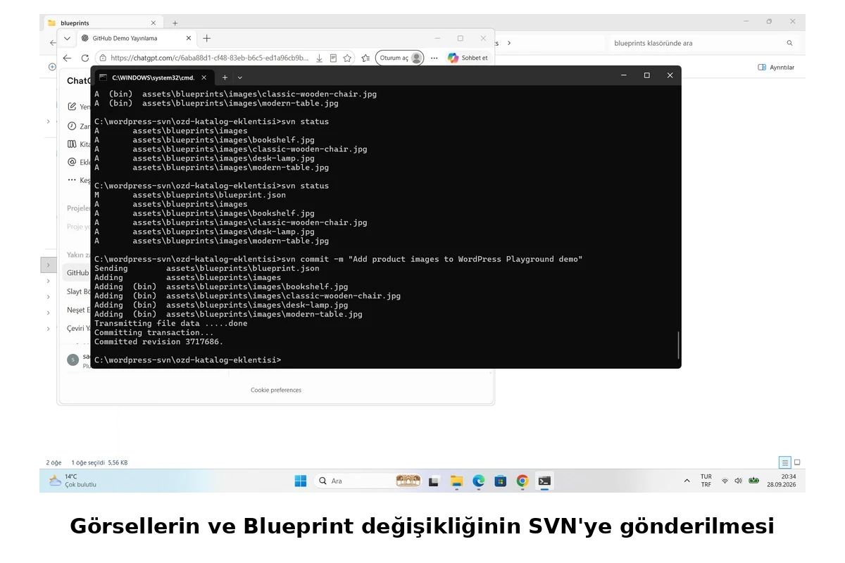 Blueprint ve görsellerin ilk commit işlemi