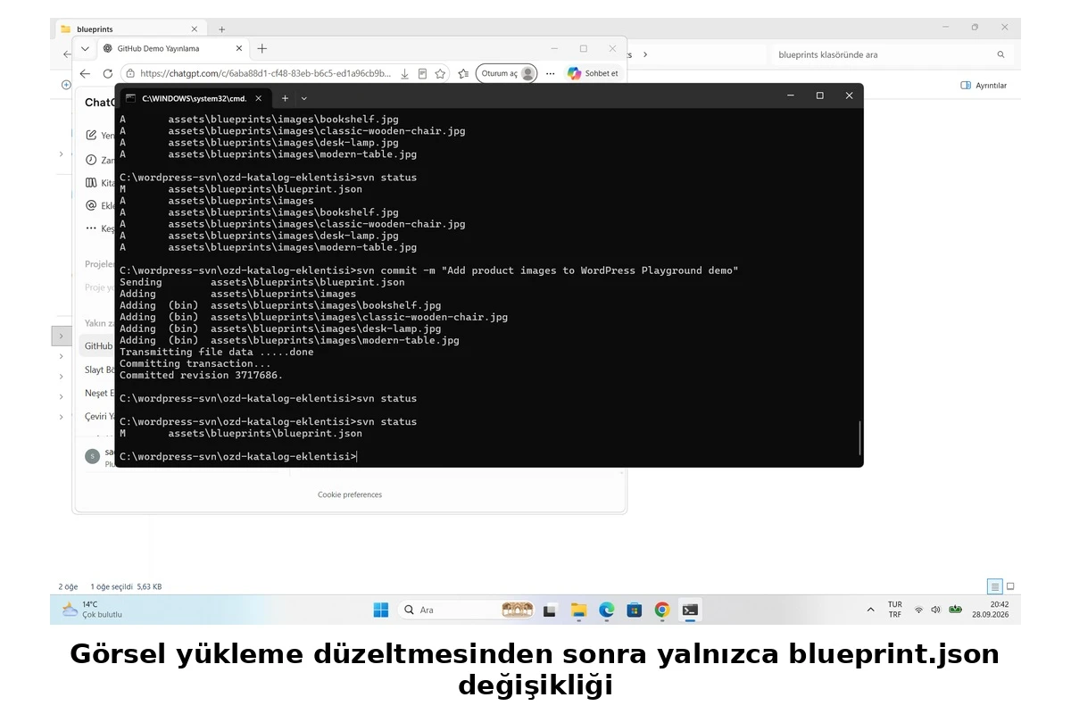 Görsel düzeltmesi sonrası SVN durumu
