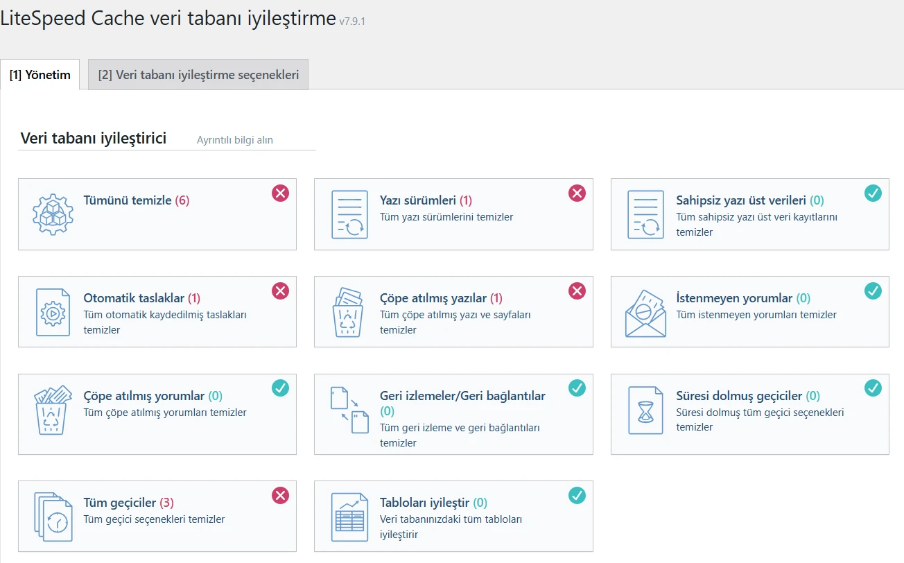 LiteSpeed Cache veritabanı temizleme seçenekleri.